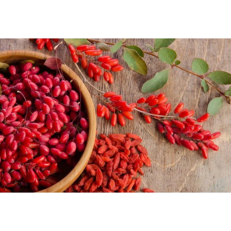 PURE ORIGINAL INGREDIENTS Berberine (365 Capsules) No Magnesium Or Rice