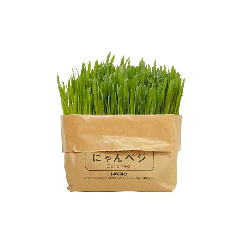 HARIO No-Mow Cat Grass Cultivation Kit nyanbeji Other Refill 2-Pack