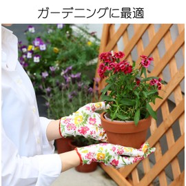 colorful gloves 5 pairs 9049