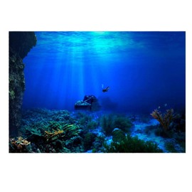 GLOGLOW Aquarium Poster, 3D Effect Underwater Background Sticker Thicken PVC Adhesive Static Cling Backdrop Fish Decorative Paper(122×50cm)