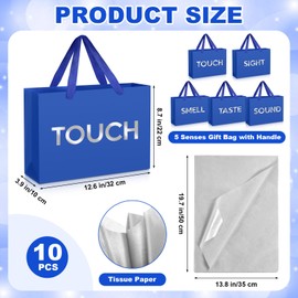 Supervitae 5 Senses Gift Bags for Him Birthday Party Decoration with Happy Birthday Banner Balloons and Tissue Paper Five Senses Gift Bag for Women Men Anniversary Party(Blue,Vivid Style)