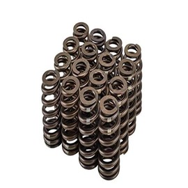 GM Performance 12499224 Valve Spring