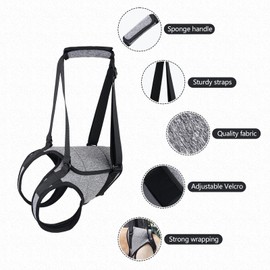 HDKUW Dog Lifting Harness,Dog Hind Legs Support Strap, Pet Portable Recovery Walking Training Lift Strap with Handle for Elderly Injured Amputation Disabled Dogs (XL)