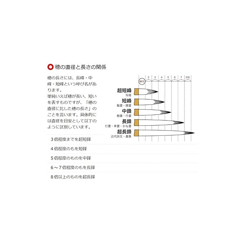 広島筆 中筆 寒月 T-1 6号