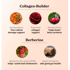 BetterAlt Beauty Duo | Berberine Capsules + Collagen Builder |  120 Capsules, 30 Scoops