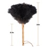 Aldwin Ostrich Feather Duster, 16 inch Black Genuine Ostrich Feathers