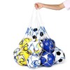 CATOR Multipurpose Ball Net Set for 1-12 Balls, Ball Net,