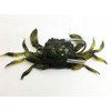 FISHING ADDICT Realistic Crab fishing lure softbait Crazy Crab Green
