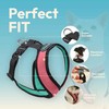 Gooby Comfort X Harness Dual Snap Mesh in Dog Harness
