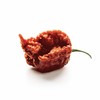 Unpretentious Whole Dried Carolina Reaper Chiles, Extremely Spicy Chiles, Hot