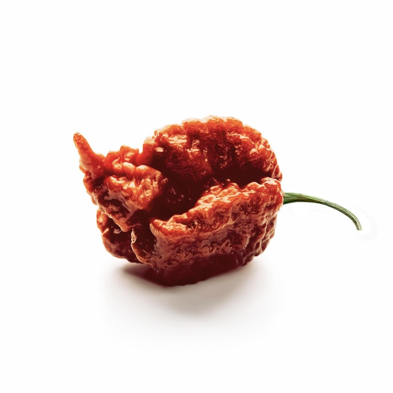 Unpretentious Whole Dried Carolina Reaper Chiles, Extremely Spicy Chiles, Hot