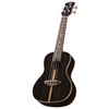Luna Concert Ukulele with Gigbag, Ziricote