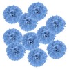 PATIKIL 4" Tissue Pom Poms Flowers, 10 Pack Paper Flower