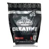 Creatina Monohidratada 1 Kg Blackbear 200 Servicios Bolsa Sabor NA