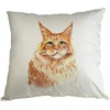 Hippowarehouse Maine Coon Ginger Cat Printed accessory cushion 41x41cm