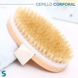 SOVICO - Cepillos Corporales Ovalados - Materiales de Alta Calidad - Banda Sujetadora que brinda un Agarre Cómodo - Tamaño Perfecto - Cepillo de Cerda