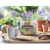 Taylors of Harrogate Yorkshire Gold Tea, Pack of 80