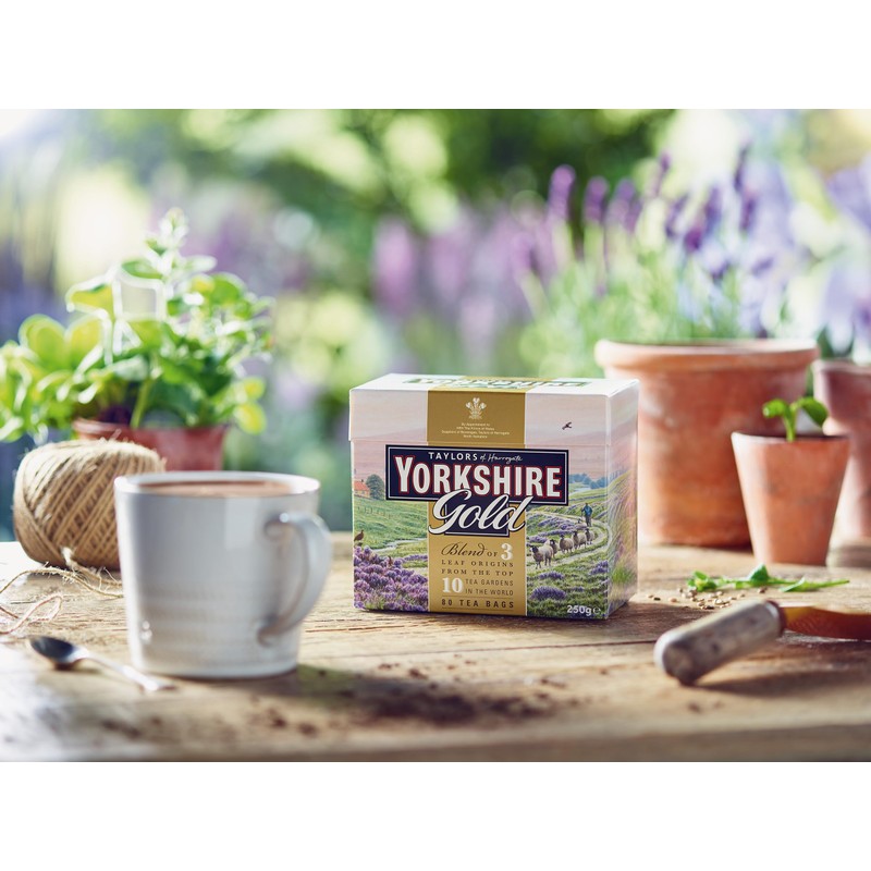 Taylors of Harrogate Yorkshire Gold Tea, Pack of 80