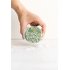 KOBOL NATURA | Jabon Aloe Vera Dermolimpiador Veganos Espuma intensa
