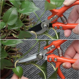 LEONTOOL Garden Shears, Garden Pruning Shears, Set of 2, Pruning Shears, Branching Shears, Gardening Scissors, Branching Shears, Garden Shears, Fruit Shears, Fruit Shears, Pruning Scissors, Long,