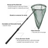 RESTCLOUD Professional Insect and Butterfly Net with 14" Stainless Ring,