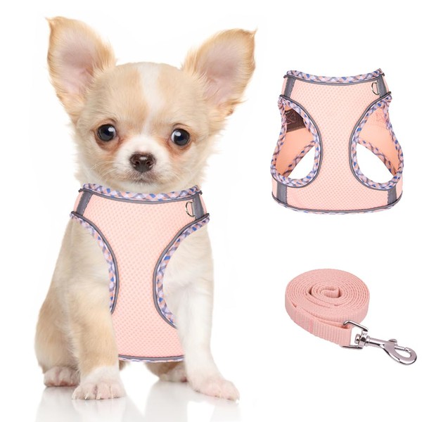 Doggiekit Dog Harness Small Dogs with Lead, Adjustable Reflective Step