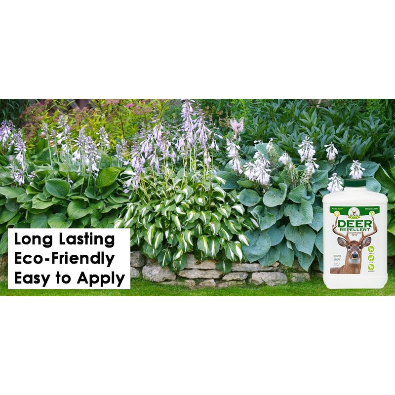 Concentrated Deer Repellent - Bobbex | Deer, Elk, and Moose