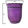 ACK PURPLE RUFFLE UTENSIL HOLDER 86039