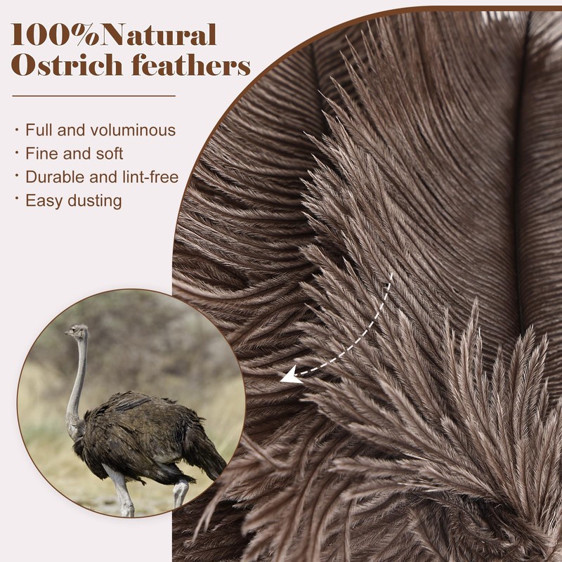 Natural Ostrich Feather Duster 14.9 inch Fluffy Mini Dusters with