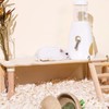 Hedgehog, Hamster, Squirrel, Water Bottle, Automatic Water Bottle, Water Cage,