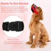 Adjustable Anti Bark Muzzle for Small Dogs - Breathable Mesh