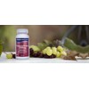 Grapeseed Extract 2000mg | 360 High Strength Grapeseed Tablets with