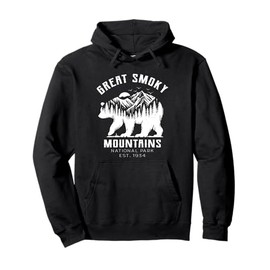 Vintage Great Smoky Mountains National Park kids Hiking Bear Pullover Hoodie