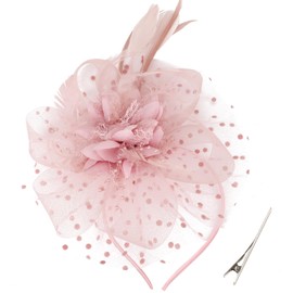 DRESHOW Fascinators Hat Feather Headband Women's Fascinators Tea Party Headpiece with Clip Flower Headband for Girls and Women, 1 pc: 03-r-light pink