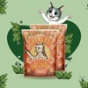 Catalyst Natural Soft Wood Cat Litter (2 Pack, 20lb Bags)