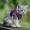 rabbitgoo Cat Harness and Leash for Walking, Escape Proof Soft
