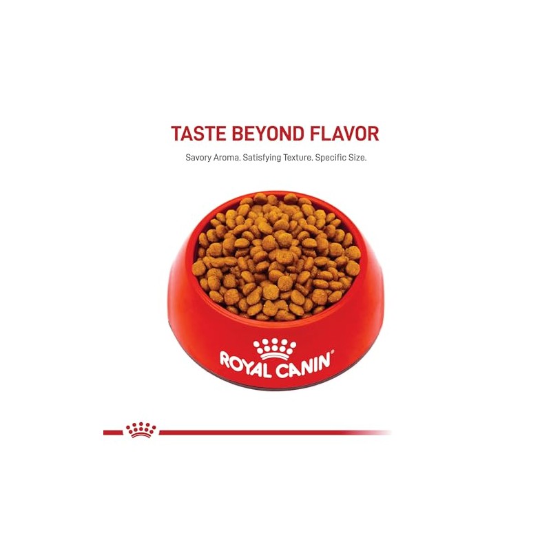 ROYAL CANIN, Puppy - Mini Schnauzer, Croquetas Perro, 1.1kg