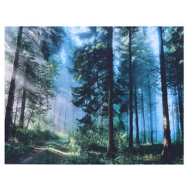 Wall Tapestry Landscape Pattern Hanging Blanket Bedroom Living Room Corridor Decoration200x150cm