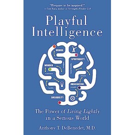 Playful Intelligence: The Power of Living Lightly in a Serious World