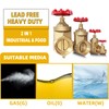 3/4" NPT Brass Gate Valve, Heavy Duty Female x Female