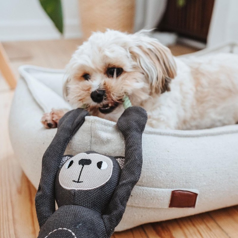 HUNTER Dog Toy Rio Colour Sloth Size 30 cm