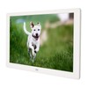 Digital Photo Frame Multifunction 10.1inch IPS HD Screen Support Slide