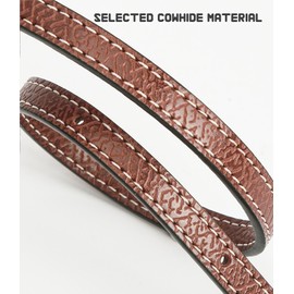 DAFROH Genuine Leather Shoulder Strap Hand Bag Strap Replacement Compatibility with L.ong C.hamp Le Pliage Pouches Conversion Kit Crossbody Shoulder Strap (Brown & Gold A)