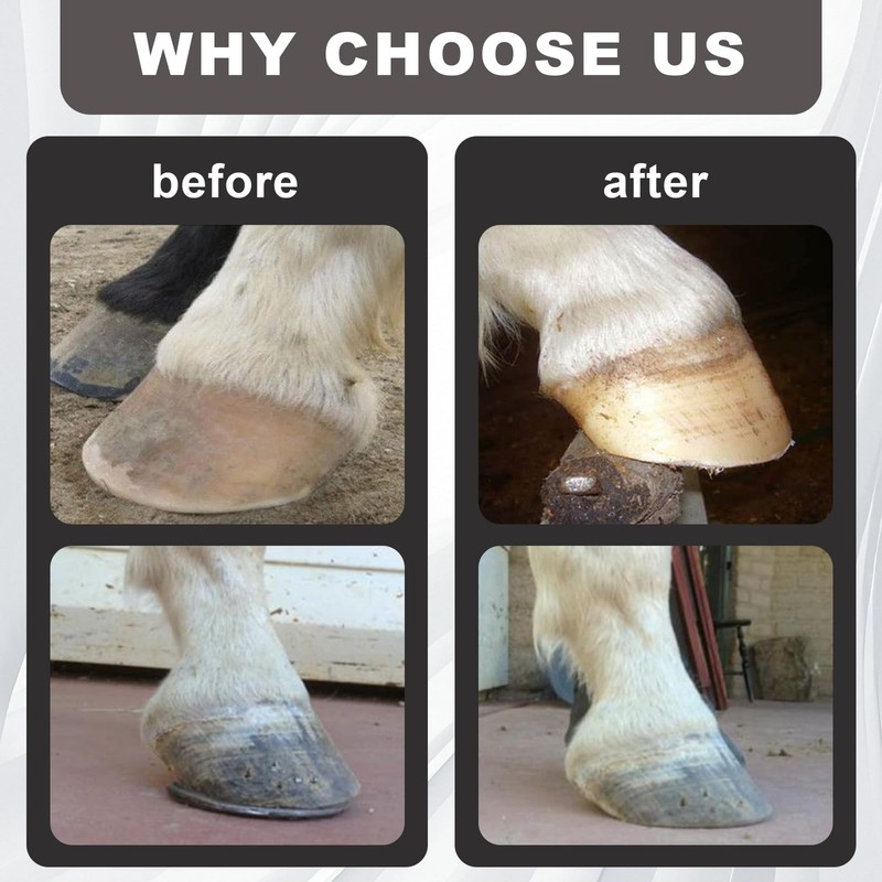 Wadoy Mini Hoof Rasp for Horses, Farrier Rasp for Goat