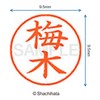 Shachihata Stamp Name 9 XL - 9 Stamp Face 9.5mm