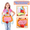 KAKIBLIN 3D Organ Apron,(Upgrade Version) Anatomy Apron Human Body Organs