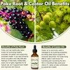 Organic Poke Root Castor Oil – 2 Fl Oz Natural