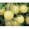 RAISE ME UP: Seeds Italian Ice Cherry Tomato White Indeterminate