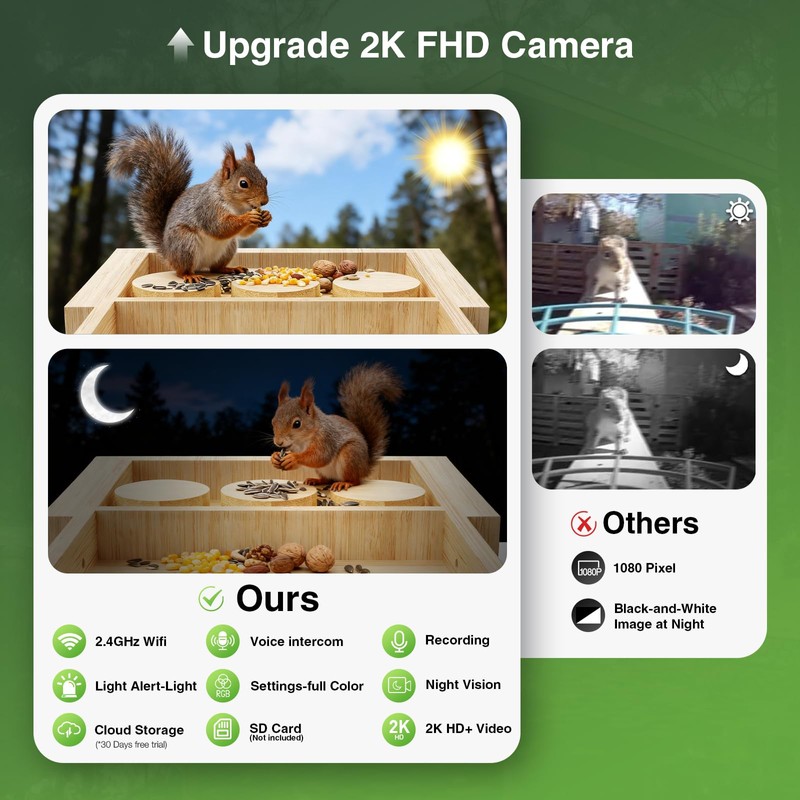 Wooden Squirrel Feeder with Camera, Solar-Powered, 2K HD+ Video