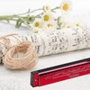 Harmonica Professional C Major Blues Harmonica Diatonic 24-Hole with Case